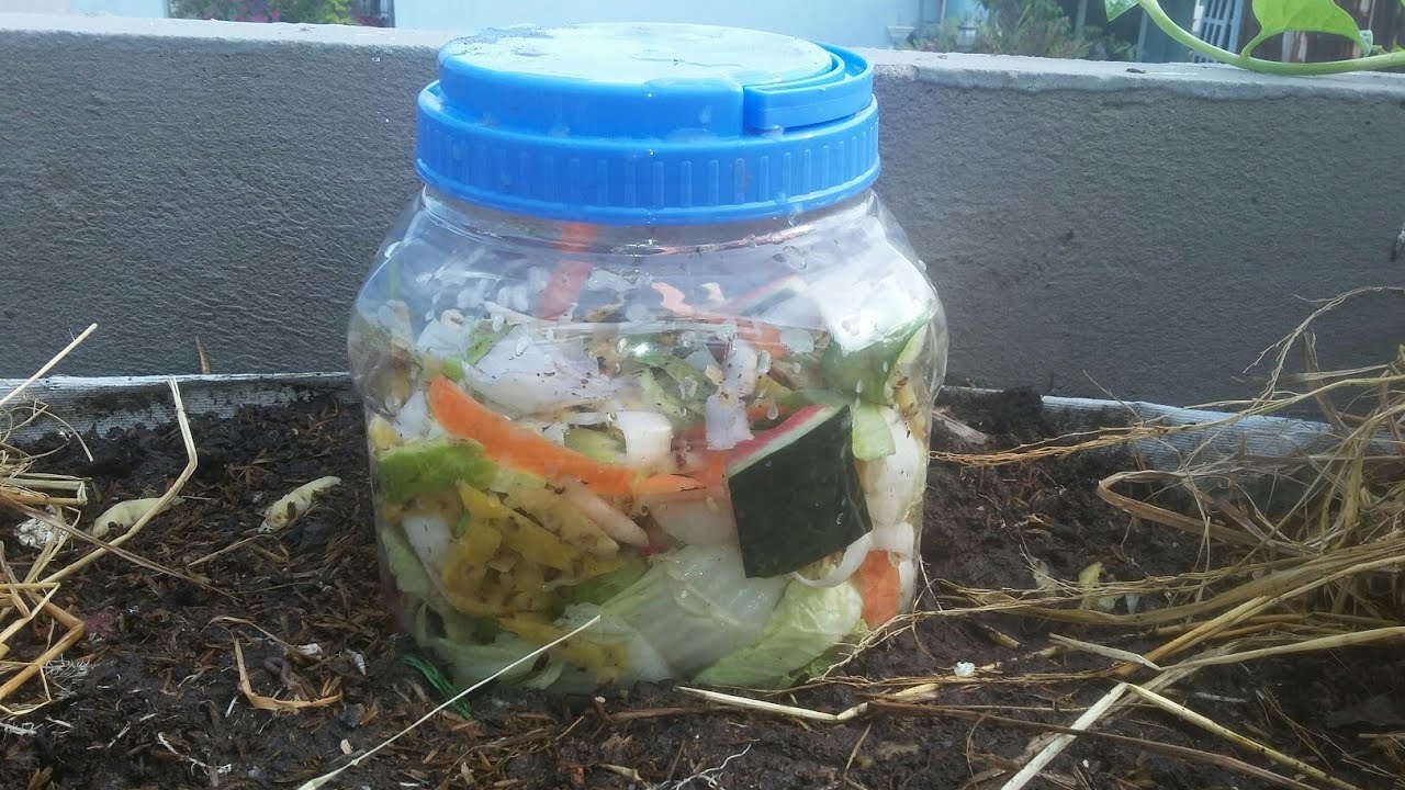 Tận dụng Bình Nhựa cũ chứa Rác Thải nhà bếp ,  nước rác tự ngấm vào đất | Khoa Hien 269