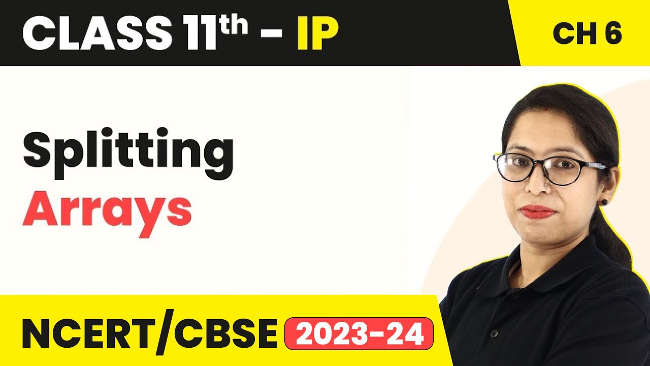 Splitting Arrays | Class 11 Informatics Practices Chapter 6 (Theory and ...