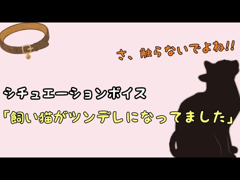 【男性向けボイス】飼い猫がツンデレになってました。【シチュエーションボイス　日本語　Japanese】