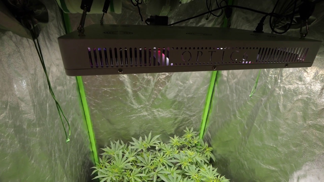 Optic 6 Generation 4 Now Available