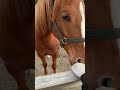 心を開いてくれた子