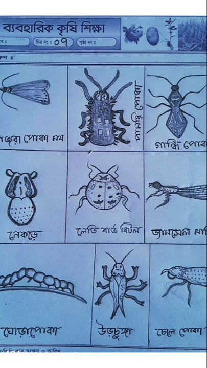 ব্যবহারিক কৃষি শিক্ষা।Agricultural practical. #music #remix