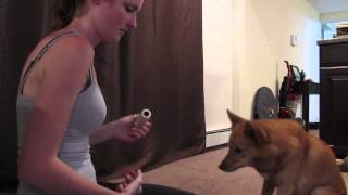 Kimma - Hold Session 10
