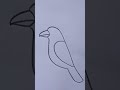 Crow drawing