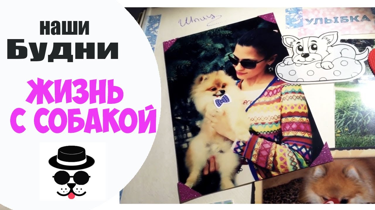 Делаю Фотоальбомчик .Жизнь с Собакой