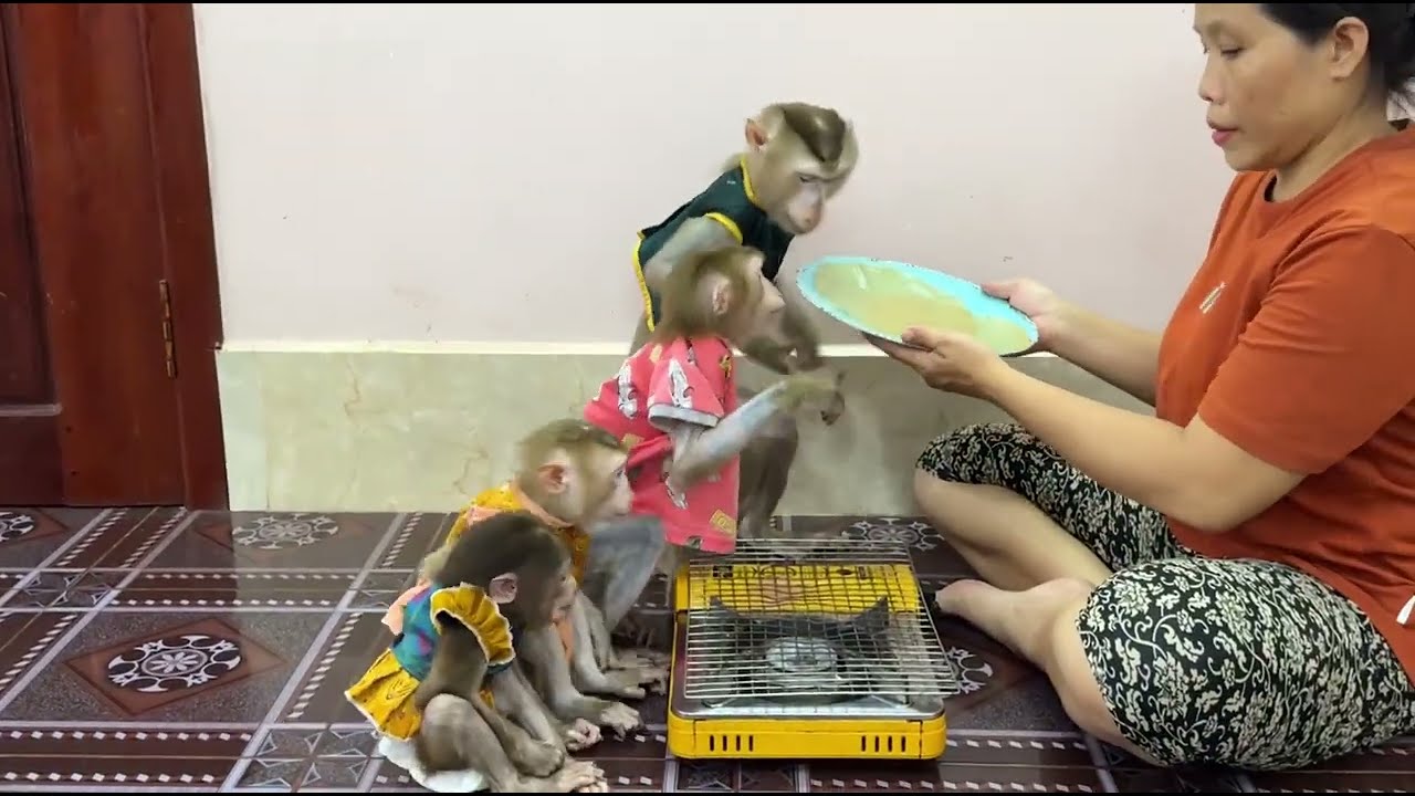 YAYYYY Let We Help !! So Excited So Jump So Happy Want To Help Mom Cook !!