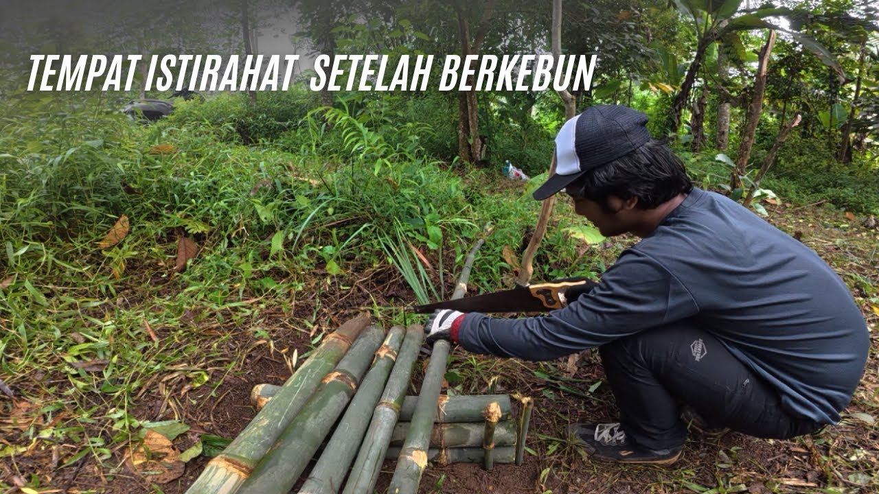Bikin Bangku Sederhana | Menanam Pohon Singkong