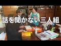 ＃24 青森県津軽人、三人以上集まると人の話を聞かなくなります【青森津軽弁】あ、うちだけかも