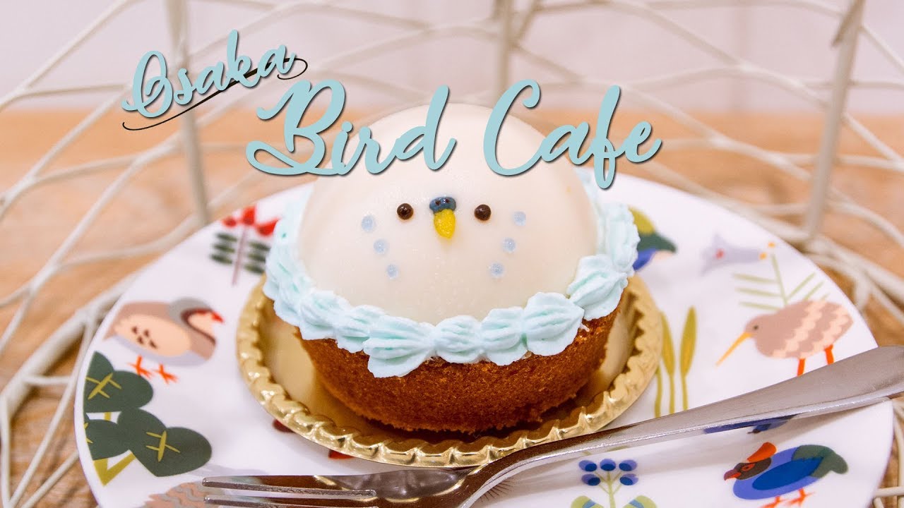 Adorable Bird Cafe in Osaka: Kotori Cafe 