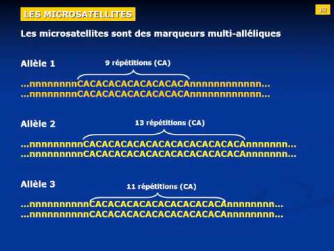 Vidéo: Différence Entre La Carte Génétique Et La Carte De Liaison