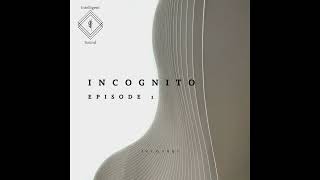 Unknown - Pattern Matching [INCGT001]
