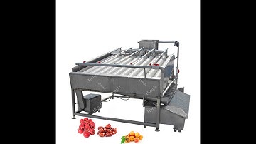 Multiple roller classifier Cherry fruit  size sorting grading machine