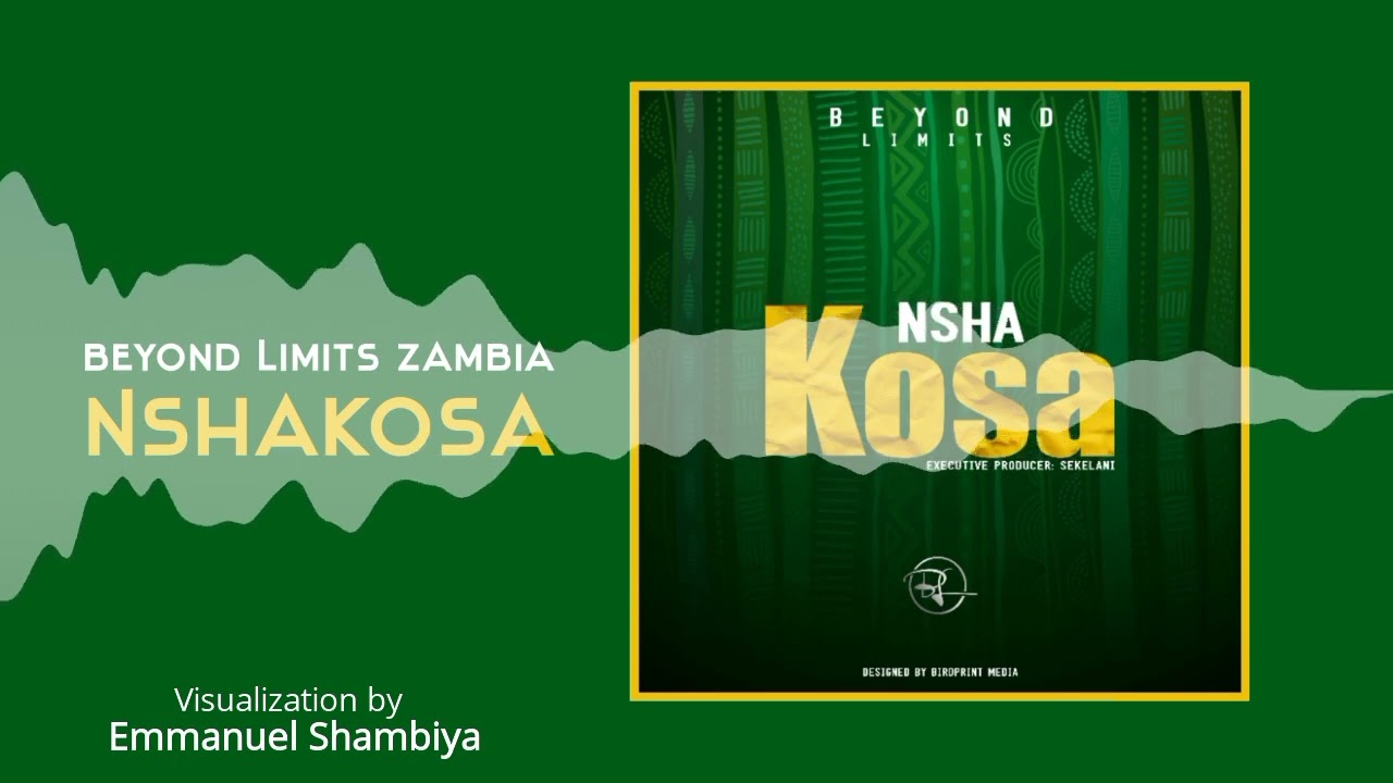 Nshakosa     Beyond Limits Zambia Visualization