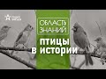 Какую роль играли птицы в жизни людей разных эпох? Лекция орнитолога Павла Квартальнова