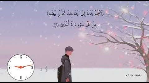 القارئ عمر هاشم العربي حفظه الله