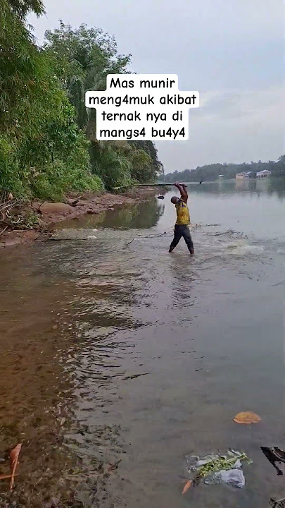 meng4muk because his cow was hit by bu4y4.