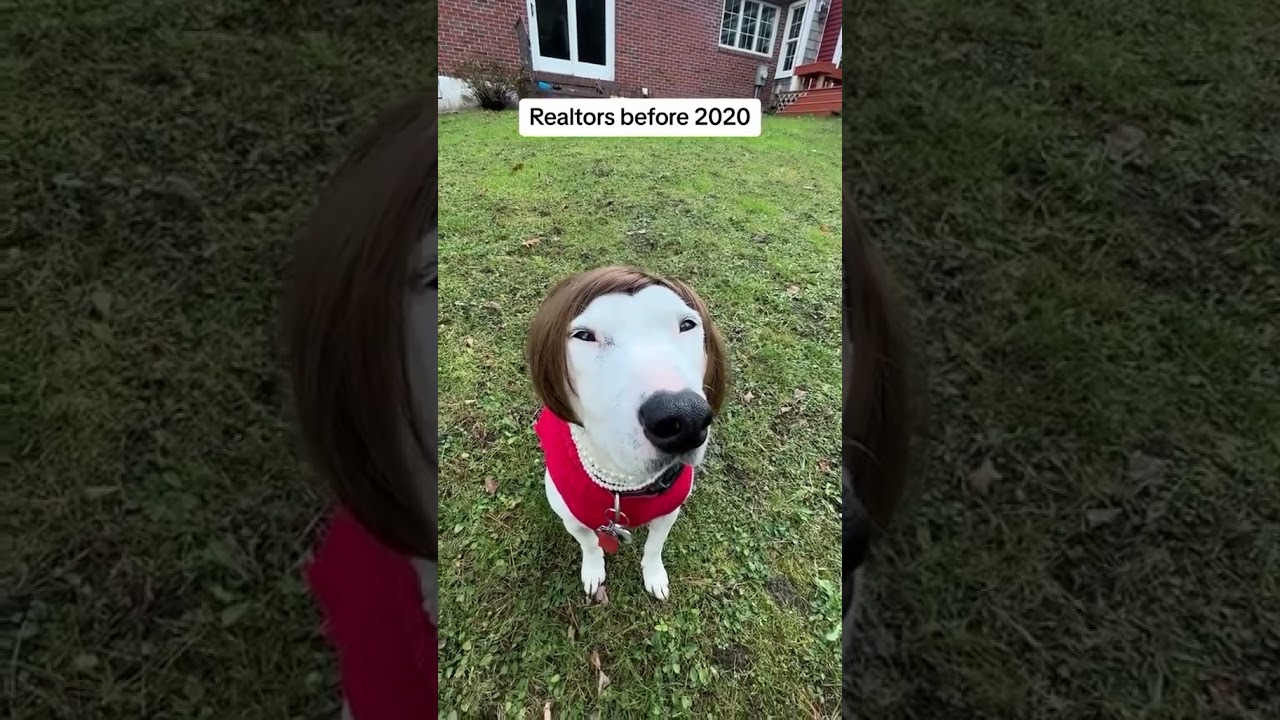 Realtor’s before 2020 vs today 