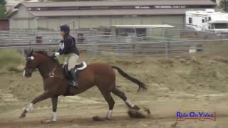 015XC Lauren Burnell on Counterpoint CIC2* Cross Country Copper Meadows June 2016