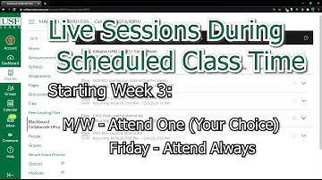 Calculus Intro Video Spring 2021