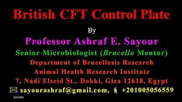 The British complement fixation test control plate setup