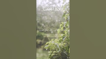 سورة النحل (١٣-١٠) | مُحسِن مُنير #اكسبلور #المصحف #لايك #peace