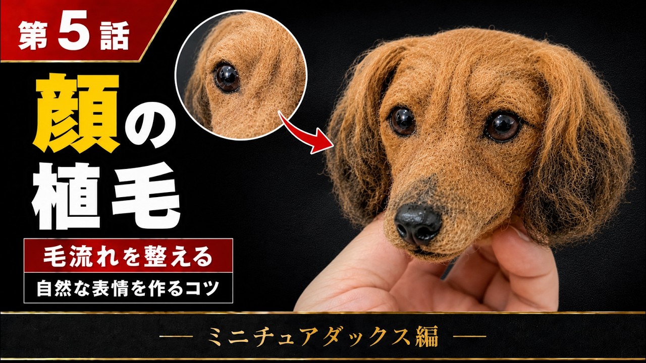5. How to Make a Miniature Dachshund - YouTube
