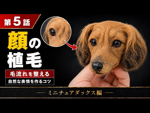 5. How to Make a Miniature Dachshund - YouTube