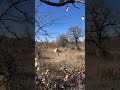 Timelapse of at least half an hour. Burma trail. 1/24/25