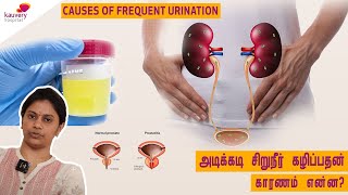 Causes of frequent urination | அடிக்கடி சிறுநீர் கழிப்பதற்கான காரணங்கள்