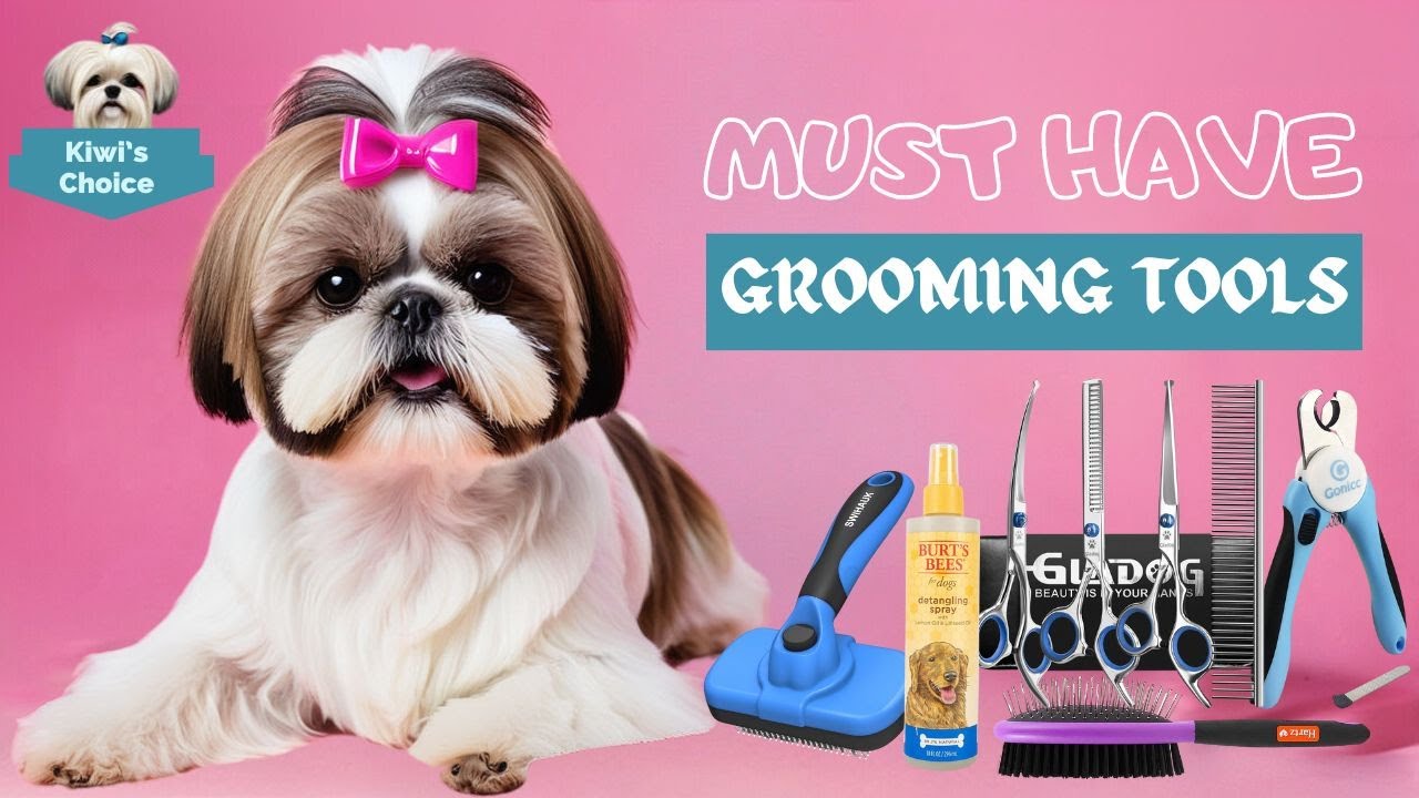 Shih Tzu's Itchy Skin: The Ultimate Guide to Soothing Your Shih Tzu's ...