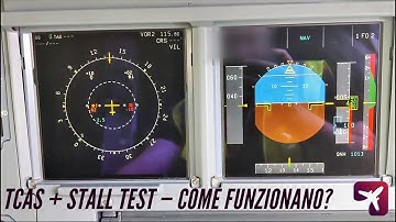 REAL A320 | TCAS & STALL TEST