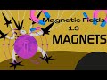 Magnetic Fields and Forces Quiz