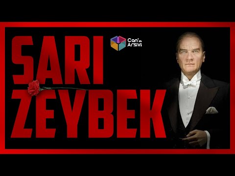 SARI ZEYBEK