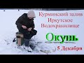 Рыбалка на Окуня. Курминский залив, Иркутское водохранилище, 5 декабря,