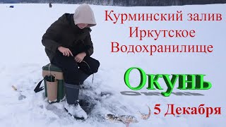 Рыбалка на Окуня Курминский залив Иркутское водохранилище 5 декабря 
