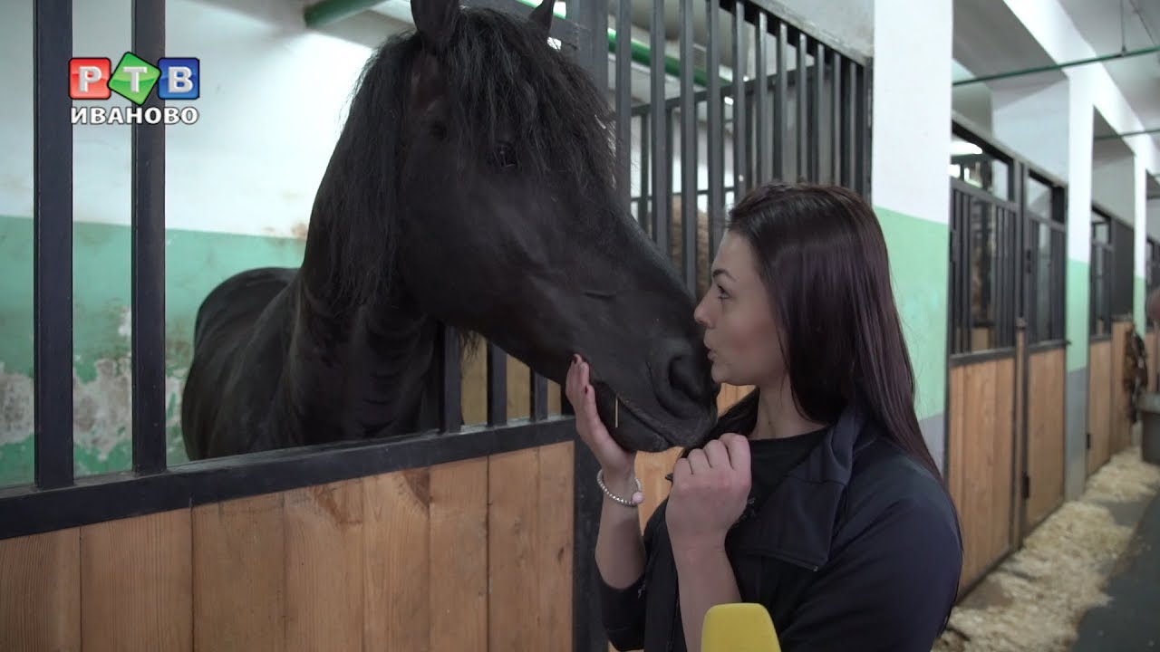 Цирковое закулисье