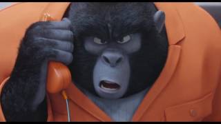 Sing Official Trailer 3 2016   Taron Egerton Movie