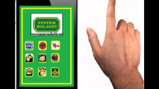 Fek B - Appaffärsidé 2011