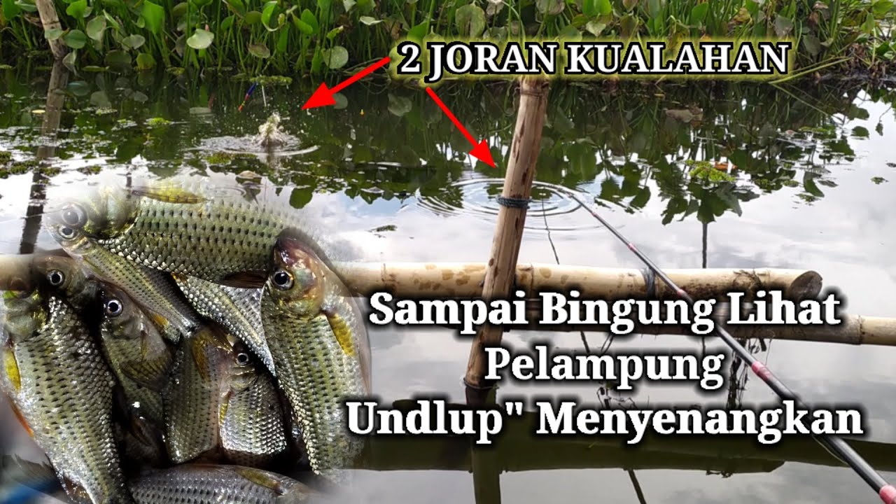 MEMANCING IKAN MELEM / Wader Ijo ~ Spot Tongkrongan Warung Rawa Pening