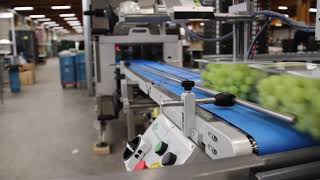 Smart DTS-V weighing solution at Haluco screenshot 2