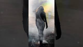 🎼 Ömrüm Effect 🎼 “EYVALLAH”       Söz & Düzenleme : Nurhan ÖzdenTarz: Hard Rock / Anatolian Rock 