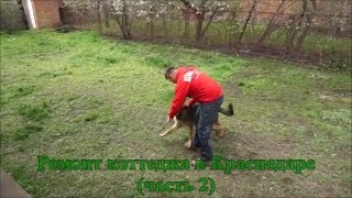 Ремонт коттеджа в Краснодаре (часть 2)(, 2017-04-11T14:44:55.000Z)