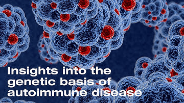 Insights into the Genetic Basis of Autoimmune Disease