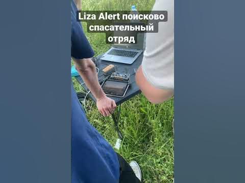 Liza alert - YouTube