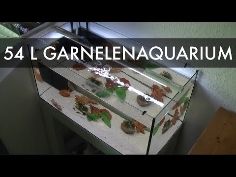 Video: Wie viel kostet eine 1250-Gallonen-Klärgrube?