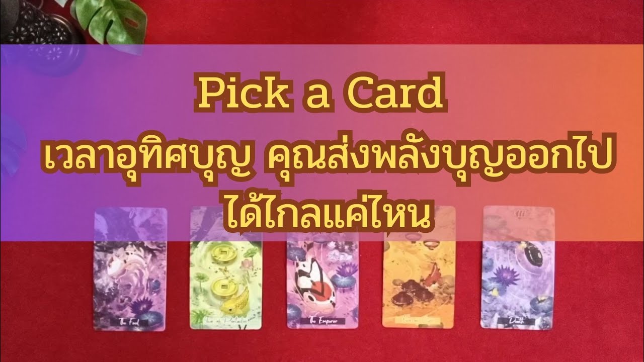 pick a card เวลาอุทิศบุญ คุณส่งพลังบุญออกไปได้ไกลแค่ไหน😇🙏🏼🙏🏼🙏🏼