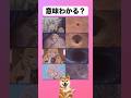 【フリーレン】どういう意味？ #アニメ #フリーレン #イラスト #shorts