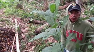 Download Lagu Tak ingin kembali epsd 33 MP3