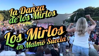 ✅La Danza de los Mirlos | La Cumbia de los Pajaritos Los Mirlos del Perú Live Malmö Sweden 2024