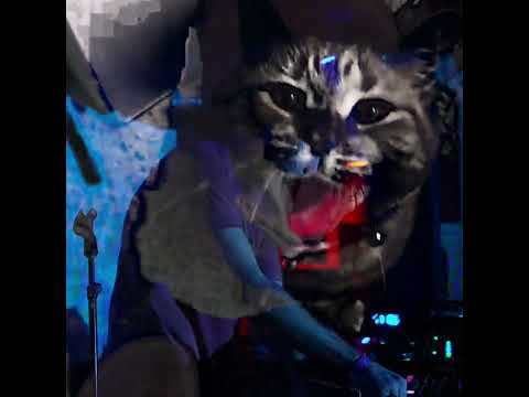 Shrimpnose - Tilt City 🐱🐶 (Lofi Glitch Visualizer)